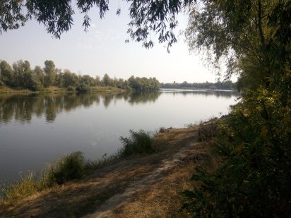 9с + 1. 5 с (береговая линия) с. Пуховка, Бровары, коттеджная застройка!