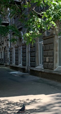 Аренда Одесса 300 м под офис, хостел, медиц клинику, 13 кабинетов, ул Успенская. - фото 1