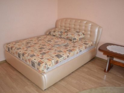 1-но комнатная квартира в центр Кам'янець-Подільський