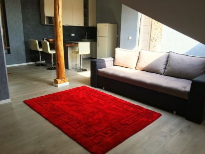 Атмосферная Студия Посуточно в центре возле музея! Кондиционер! Ужгород