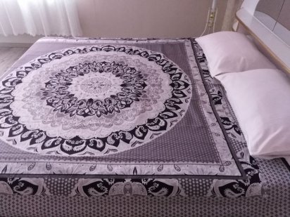 Однокомнатная кв-ра посуточно, почасово, Дендропарк, Крытый рынок Кропивницкий