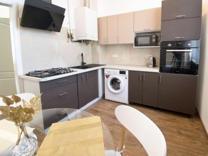 Подобово Чудові  апартаминти у центрі міста Львів для чотирьох. Львів