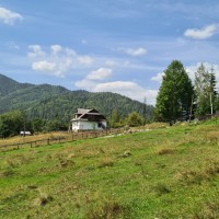 Земельна ділянка у селі Татарів - 0,10 га Яремче