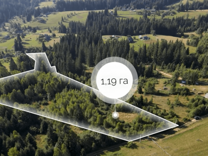 Земельна ділянка у селі Яблуниця 1.19 га Яремче