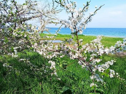 Отличная часть дома на Фонтане с гос. актом ! Одеса