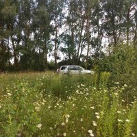 Участок под застройку 17.5 соток в с. Семиполки Бровари