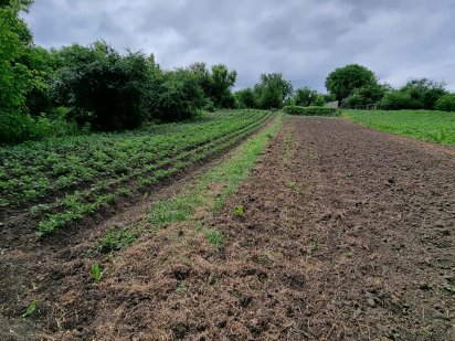 Продаю участок и дом с хоз. пристройками в с. Гатное, рядом метро, прекрасное место. Київ