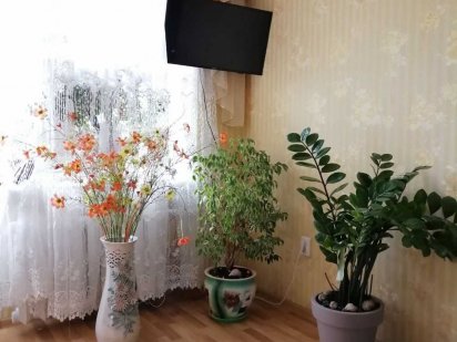 Квартира подобово в самому центрі міста Кам'янець-Подільський