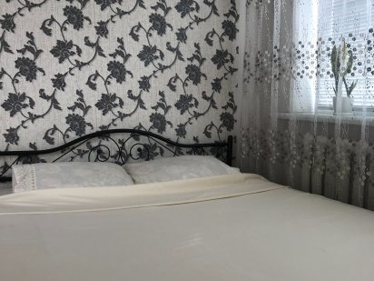 Погодинно і Подобово,. Комфорт, Реальні фото. Житомир