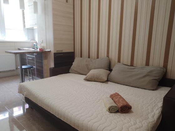 Светлая и уютная квартира в новострое. Часы,сутки,неделя. Харків