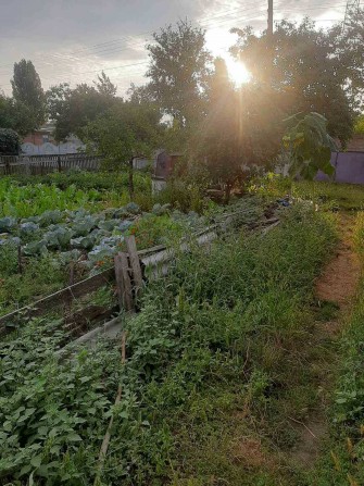 Стара хата із земельною ділянкою - фото 1