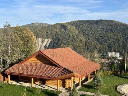 Котедж з індивідуальним басейном 4-х місний Карпати подобово в Яремче