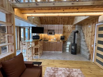 Подобова оренда будинку Київ. Басейн/пляж/чан-джакузі/сауна/караоке #2 Киев