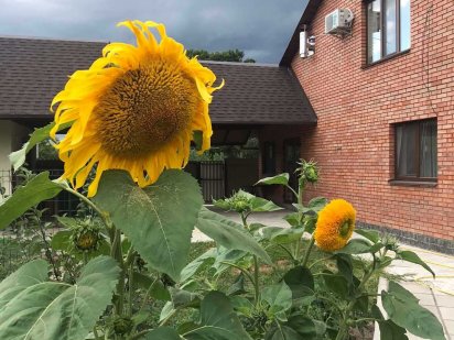 Квартира подобово . Оренда будинку Житомир . Житомир