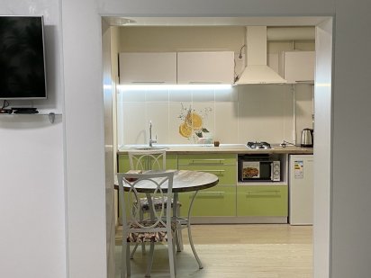 Квартира студия на левом берегу, со всеми удобствами. (Зеленая) Каменское