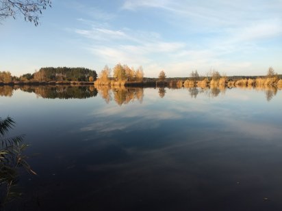 Земельный участок под садоводчество и постройку дома с. Дружня, Бородянского района Буча