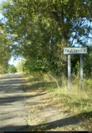 Продаєтся земельна ділянка під забудову с.Гадзинка - фото 1