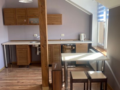 Здається квартира в  оренду подобово Стрый