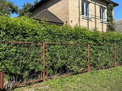 Оренда приміщення, Бровари Бровари