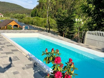 Котедж в Карпатах з басейном подобово. Яремче