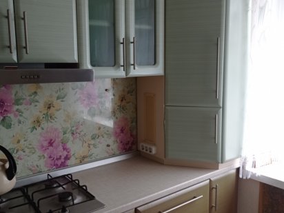 Квартира на сутки, почасово, понедельно, в центре Житомир