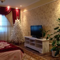 Отличная квартира. Выдаю документы командировочным. Житомир