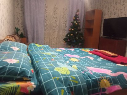 Квартира посуточно в центре города!