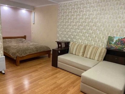 Однокомнатная квартира посуточно на Тверской  ( Яскрава )7, клиника Ро Дніпро