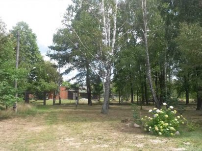 Гостьовий домік на дачі біля лісу подобово , баня на дровах Малин