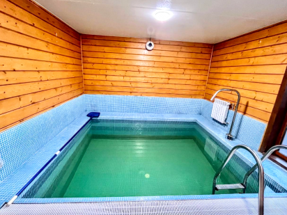 Будинок з басейном та більярдом Киев