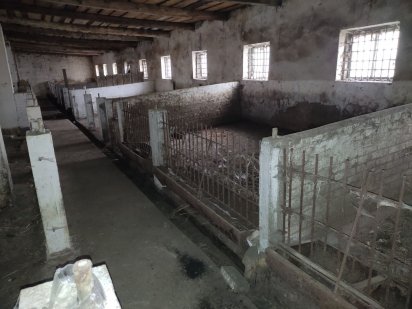 Ферма. Приміщення свинарника, під різні цілі. м. Калуш, Залісся  7а. Калуш