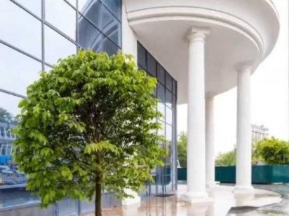 Оренда приміщення 201,7 м2 в ЖК "Podil Plaza" м.Контрактова Площа БЕЗ% Київ