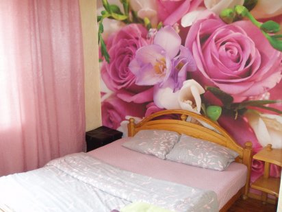 Отличная квартира сдается посуточно или понедельно в центре Житомира Житомир