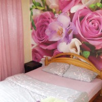 Отличная квартира сдается посуточно или понедельно в центре Житомира Житомир