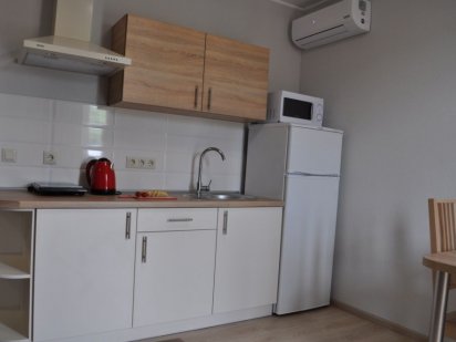 Сучасний пентхаус в новому будинку Берегово