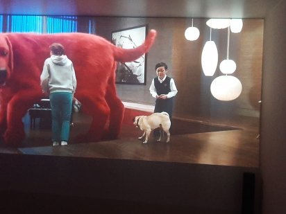 Подобова оренда квартири з власним кінотеатром Тернополь