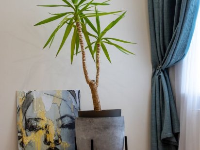 По дрбрво двокімнатна квартира в центрі Николаев