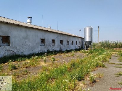 Ферма. Пташник. Склад. Ужгород