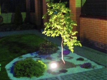 Сдам офис. Центр. Недорого. Собственник. Дніпро