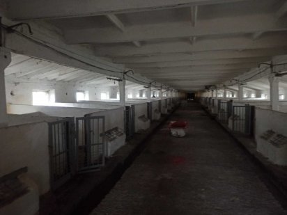 Тваринницький комплекс. Оренда Житомир