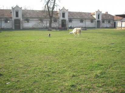 Постой лошадей, аренда денников Львов