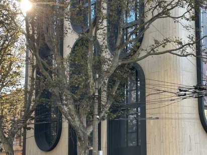 Аренда офисного помещений на Ришельевской с террасой Одесса