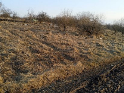 Видрові Доли.Продам дві земельних ділянки