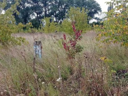 Продається земельна ділянка 10сот Н