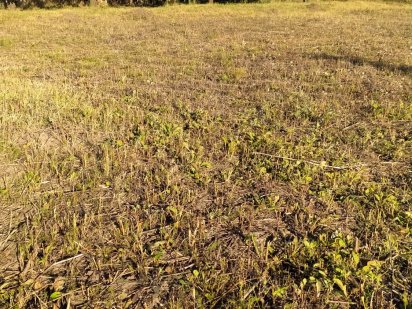 Продается земля в городе Хмельницкий Хмельницький