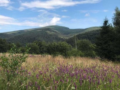 Продається земельна ділянка В ЯРЕМЧЕ! НИЗЬКА ЦІНА!