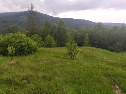 Продам гарну земельну ділянку  в Яремчі, площа 56 соток Яремче