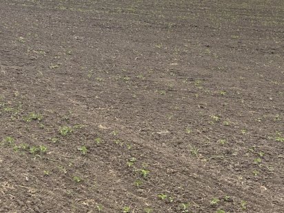 Земельна ділянка Війскбуд четверта лінія Белая Церковь