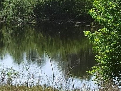 Продам участок с.Рожны.15сот.1я линия Бровари