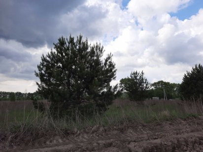 Лучшая цена за участок! Бровари